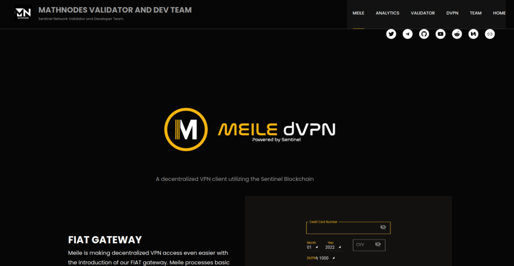 meiele dvpn